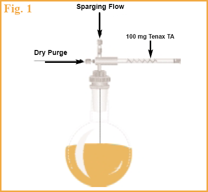 Figure 1 - Schematic of
SIS Purge & Trap sampling system.