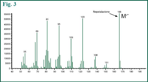 Figure 3 - MS spectrum of Nepetalactone in lead stem