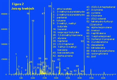 Blueberry 2