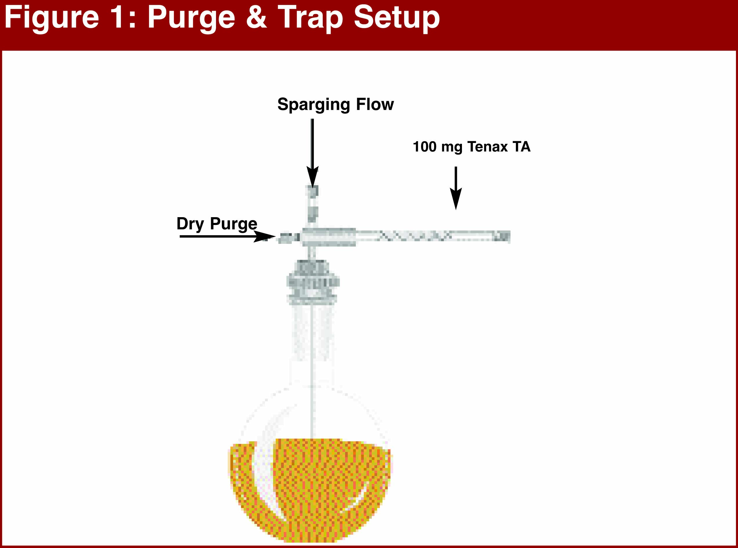Figure 1 - Schematic of
SIS Purge & Trap sampling system.