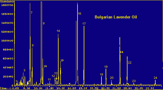 Bulgarian Lavender Oil