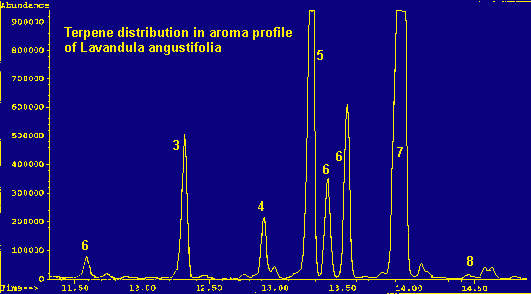 Terpene distribution in Lavandula angustifolia