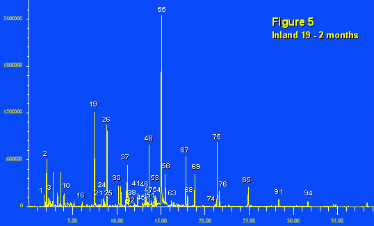 Inland 19 after 2 months