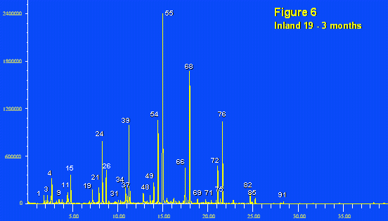 Inland 19 After 3 months