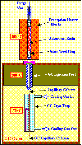 Thermal Desoption System