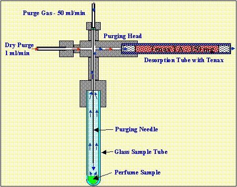 Purge and Trap System