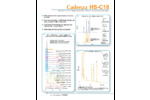 PDF Brochure