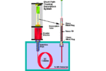 Note 23: Frangrance Qualities in Colognes