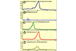 Note 58: Direct Probe Analysis and Identification of Multicomponent Pharmaceutical Samples via Electron Impact MS