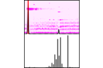 SIS Online GC Chromatogram and Mass Spectrum Viewer