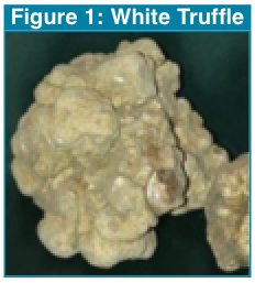 Figure 1 - White Truffle